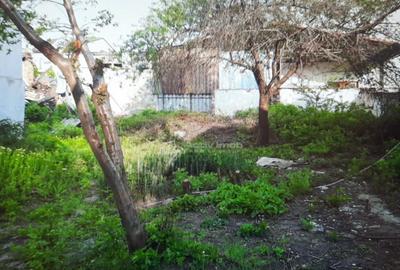 Teren pentru casa-Bucurestii Noi-pozitie foarte buna - 2