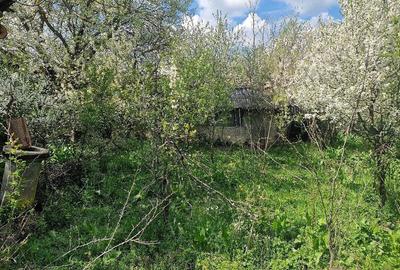 Teren de 3800 mp, în Moșteni - 1