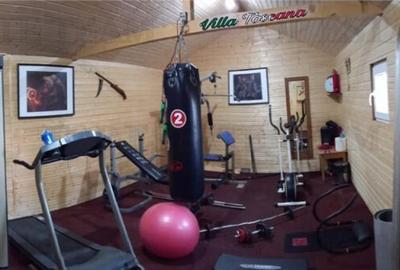 VILA TURISTICA SUPERBA COSTINESTI - 16