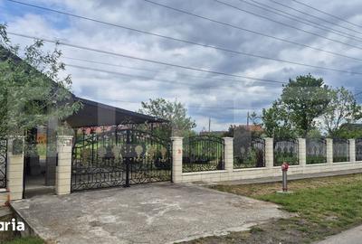 Casă cu 3 camere cu Teren 2918 Mp în Doba - 3
