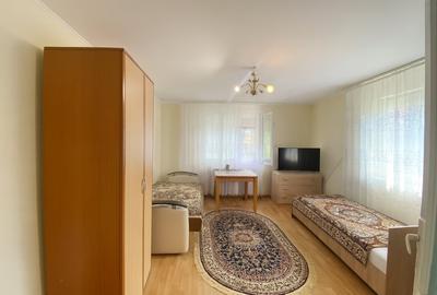 Casa Sacel 120 mp utili, teren 1100 mp si parau - 5