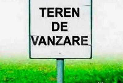 Teren de 20000 mp, în Remetea Mare