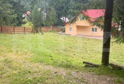 EXCLUSIV BLITZ !  Cabana in statiunea Muntele Baisorii - 3