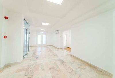 Arbema Office Arad. Birouri de inchiriat - 4