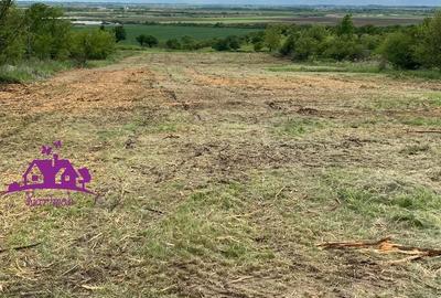 Teren extravilan  zona Episcopia - 3