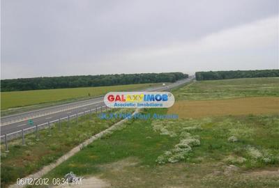 Teren de 7000 mp, în Snagov - 2