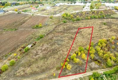 Teren 3000 mp in Snagov - zona in dezvoltare, aproape de padure - 9