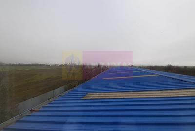 Spațiu industrial, de 1,250 mp, în 1 Decembrie - 16