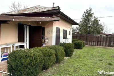 Teren de 1944 mp, în Dărăști-Vlașca - 1