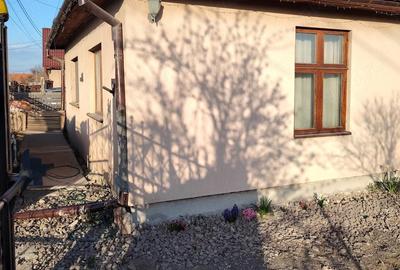 Casă cu 1 camere cu Teren 1390 Mp în Cernat - 3