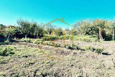 Oferim spre vanzare, Casa cu 5 camere, teren 1500 mp, Beregsau Mare 0% Comision - 6