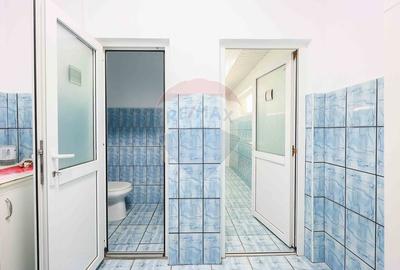 Spațiu industrial, de 500 mp, în Vest - 14