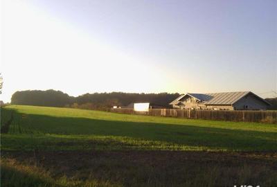 Teren de 4100 mp, în Tâncăbești - 2