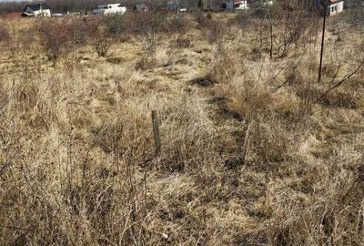 Spațiu comercial, în Central