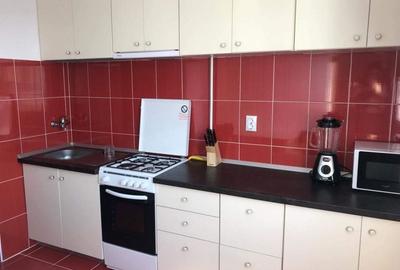 Apartament renovat, mobilat si utilat I Fully Furnished Equipped Apt. - 11