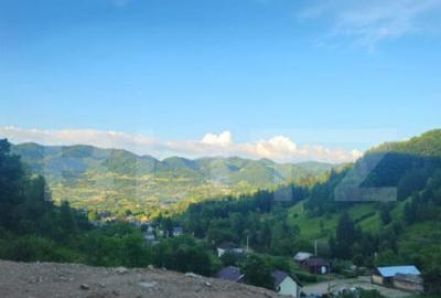 Teren de vanzare, 10.000 mp - Bistrita Bargaului, zona turis - 1