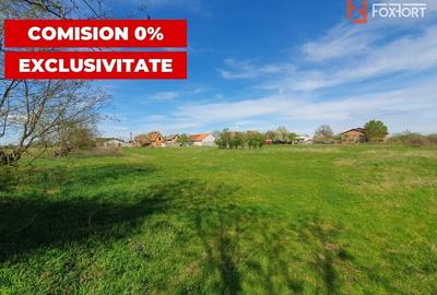 Comision 0% Teren intravilan 3000 mp in Padureni Jebel - 7