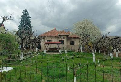 Casă cu 2 camere cu Teren 2650 Mp în Central - 4