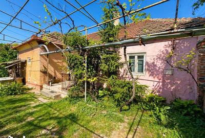 Casă cu 3 camere cu Teren 1082 Mp în Central - 4