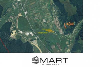 Teren extravilan 5500 mp, la padure zona Selimbar (Mohu) - 3