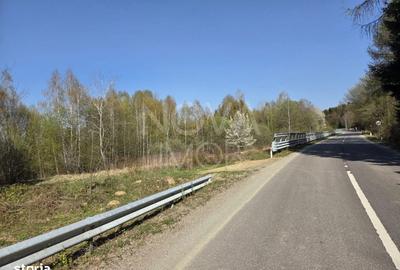 Spațiu comercial, în Viștișoara - 5