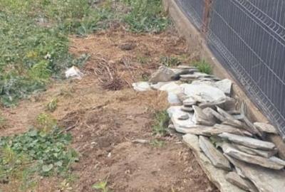 Teren Construcții intravilan de 500 mp, în Malu Mare - 3