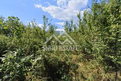 Teren  construibil ,la sosea, intre Vale si Sibiel, zona cu potential - 10