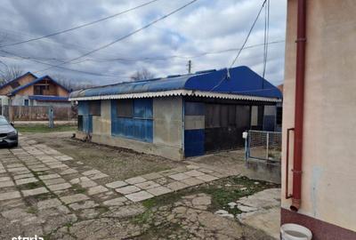 Spațiu comercial, de 287 mp, în Buciumi - 15