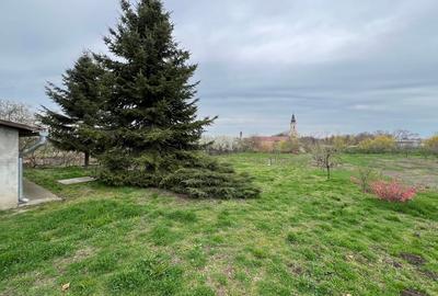 Casă individuală cu 4 camere cu Teren 1079 Mp în Dudeștii Vechi - 12