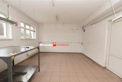 Hala de inchiriat in Marghita - 9