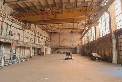 Spațiu industrial, în 23 August (Cațelul) - 2