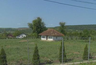 Teren de 4100 mp, în Dobrovăț - 1