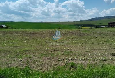 Teren Construcții de 8500 mp, în Periferie - 2