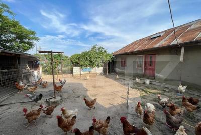 Casa D + P 150 mp utili ?i teren 1.347 mp, zona Stadionulu - 1