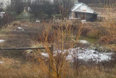 Tomesti - Osoi, vila cu spatiu comercial la parter , 2400mp teren cu iaz si pomi - 14