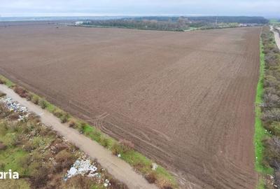 Teren de 10000 mp, în Găneasa - 10