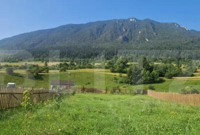 Teren de 1004 mp, în Zărnești - 6