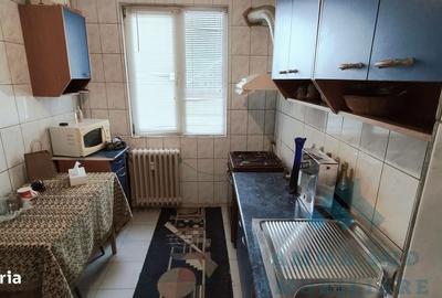 Apartament cu 3 camere semidecomandat, mobilat în Ozana - 4