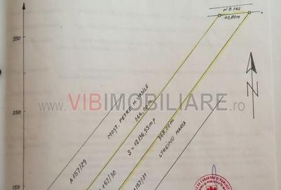 Teren intravilan de 9000 mp, în Dascălu - 4