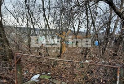 Teren de 10435 mp, în Stănilești - 5