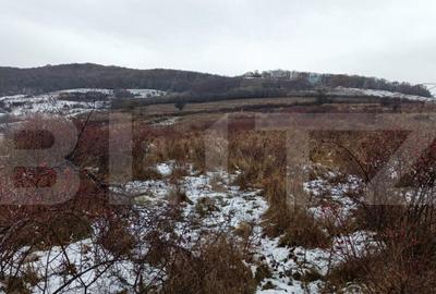 Teren de vanzare, 3900 mp, zona skit - 1