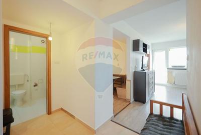 Apartament cu 3 camere semidecomandat, mobilat în Nufărul - 3