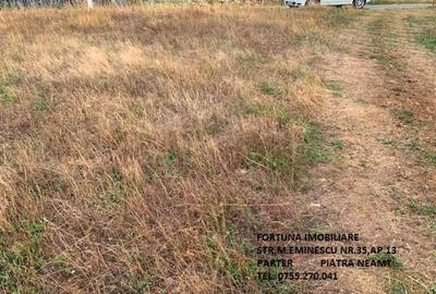 Teren intravilan, loc de casa in cartier de vile,com. D-va Rosie - 2