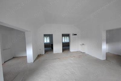 Gospodarie langa Deva - 3