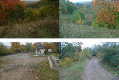 Teren Faneata extravilan, Vizantea Livezi, ID: R2800539 - 9