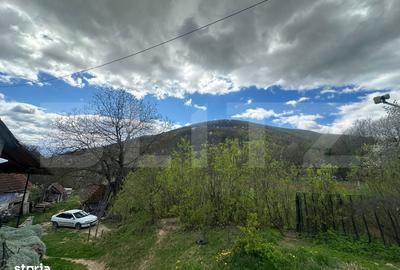 Casă cu 4 camere cu Teren 12186 Mp în Boiu - 9