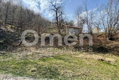 Spațiu comercial, în Ulmoasa - 2