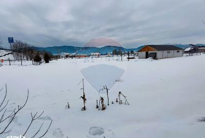 Teren de 9574 mp, în Iacobeni - 11