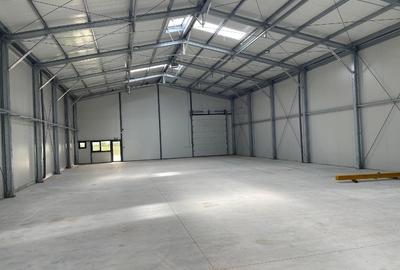 Spațiu industrial, de 200 mp, în Bucov - 6