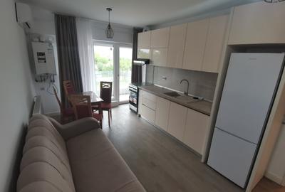 Apartament cu 2 camere circular, mobilat în Tătărași - 4